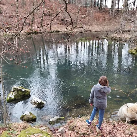 Bobnarica Апартаменты *