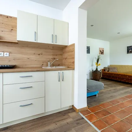 Bobnarica Apartamento Grahovo
